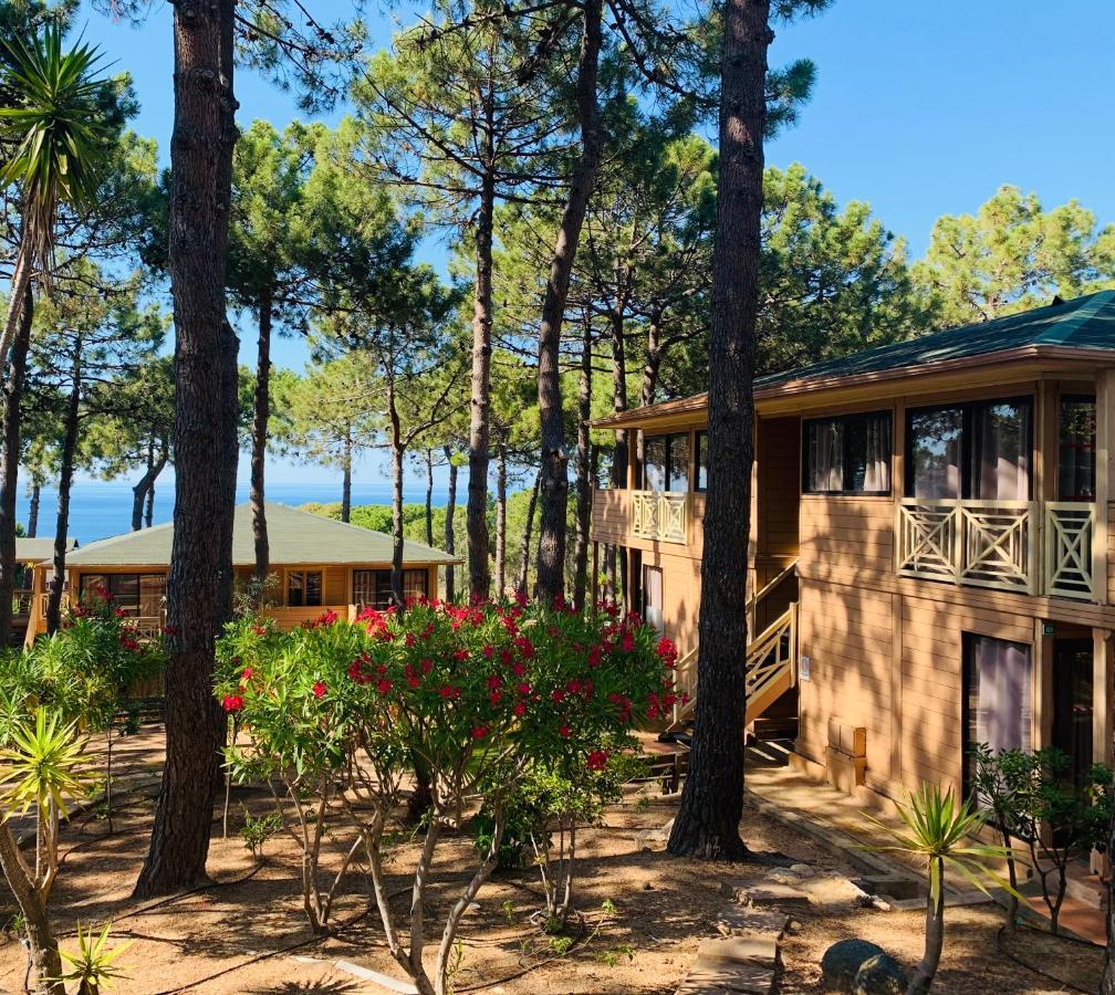 Residence Les Pins Calvi  Buitenkant foto