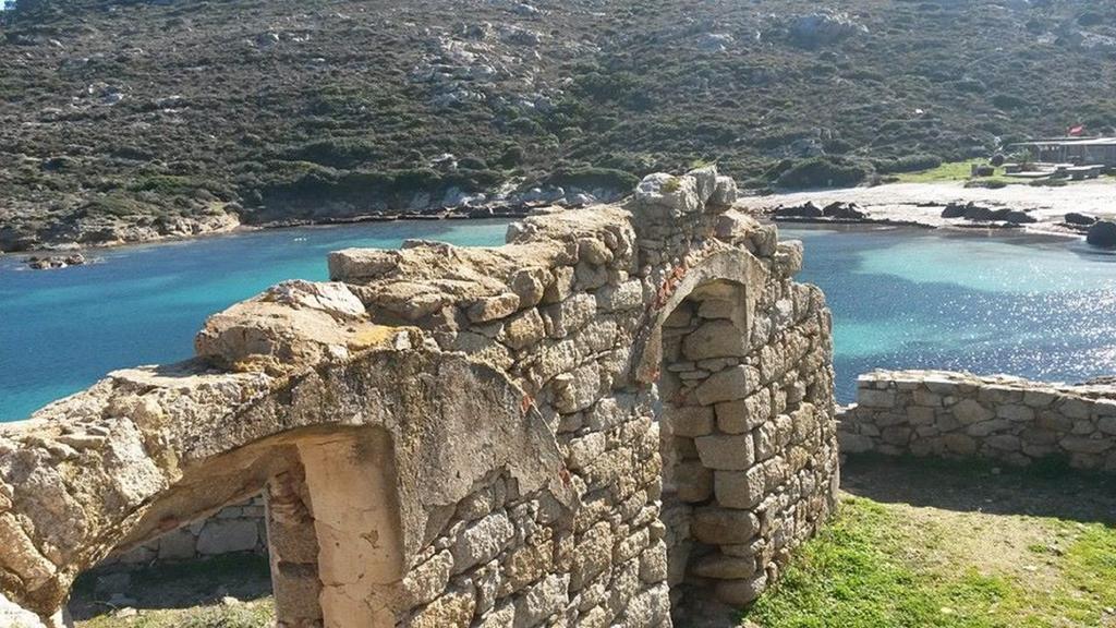 Residence Les Pins Calvi  Buitenkant foto