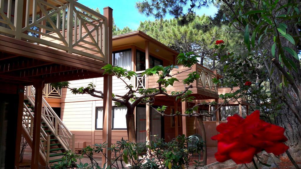 Residence Les Pins Calvi  Buitenkant foto